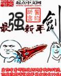最强新手剑未删减