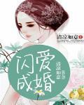 闪爱成婚总裁免费阅读
