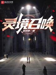 梦幻西游新召唤灵