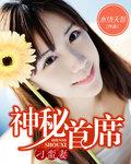 神秘总裁刁蛮妻