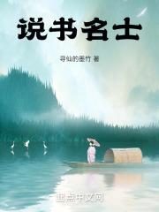 说书出名的人