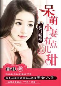 豪门冷少追爱呆萌小妻子全文免费
