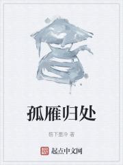 孤雁独飞