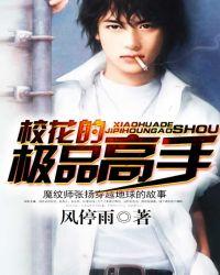 校花的神级高手免费