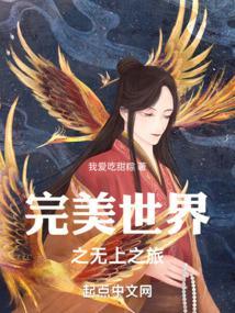 完美世界之征战上苍