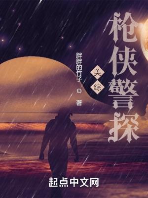 北美枪侠警探TXT免费