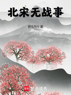 北宋无将