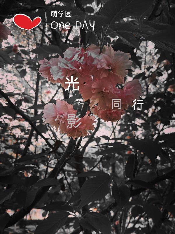 萌学园之光影之星免费