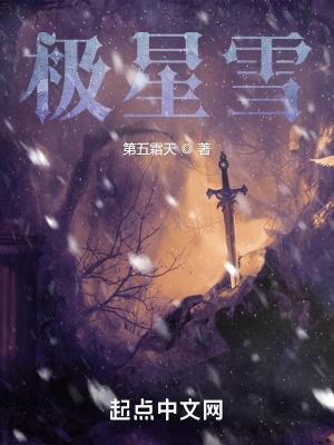 雪极星属于什么档次