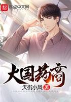 大国药商 天街小风