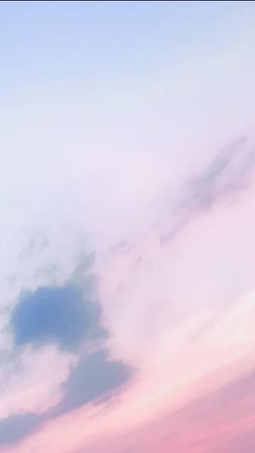 玫瑰雾免费阅读