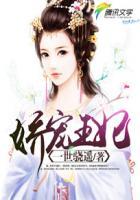 娇宠王妃九斛珠