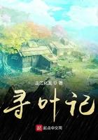 寻叶记的公开课