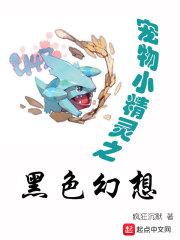 神奇宝贝之黑色幻影
