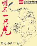 明末一只虎演员表