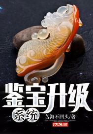 鉴宝新书