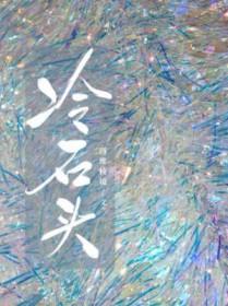 冷石头by四维棱镜阅读