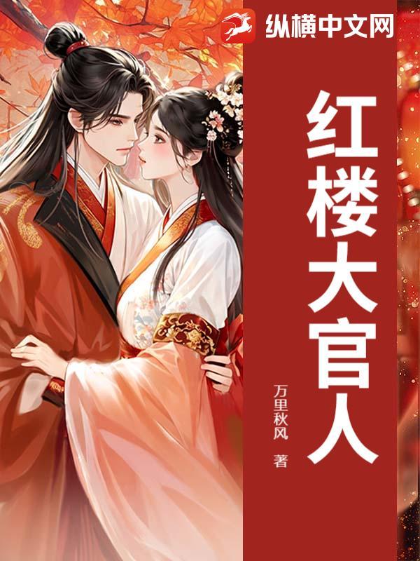 红楼梦之大官人