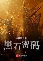 黑石密码类似的书