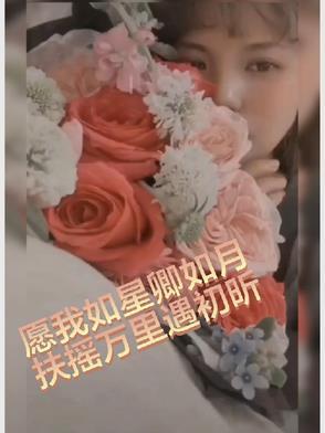 愿我如星君似月免费阅读