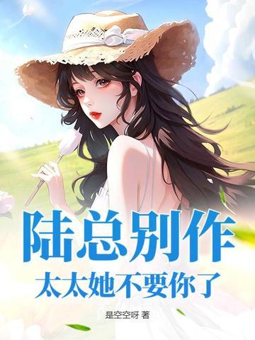 陆总别动了胎气全文免费