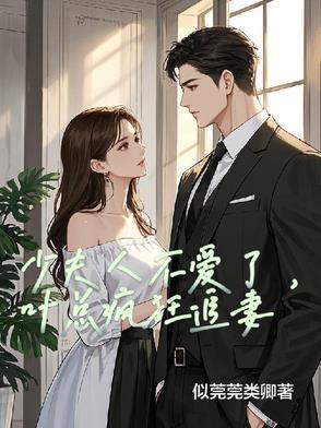 少夫人她又a又妖叶宁笔趣阁