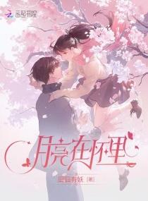 月亮在怀里 囧囧有妖txt