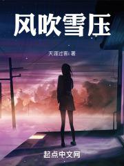 风吹雪是什么意思