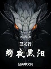 孤龙行：耀夜黑阳