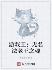 游戏王：无名法老王之魂