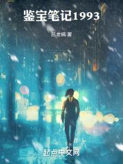 鉴宝笔记1993