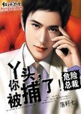危险总裁:丫头你被捕了！