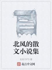 北风的散文小说集