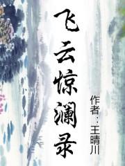 飞云惊澜录